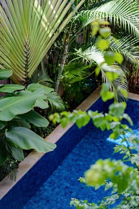Apartemen Stylish 1 Bd Pvt W Shared Kitchen And Pool Seminyak (Bali)